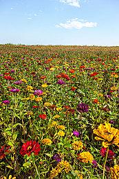 《暗黑破坏神4》S7 PTR 12月4日开启 一键换装终于来了